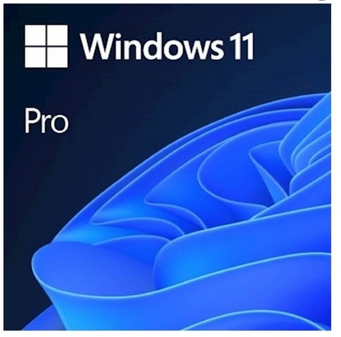 DSP Win Pro 11 64Bit Slo/Eng